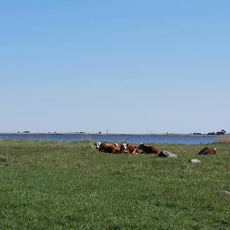 Antsu Talu Alojamento de Turismo Rural *