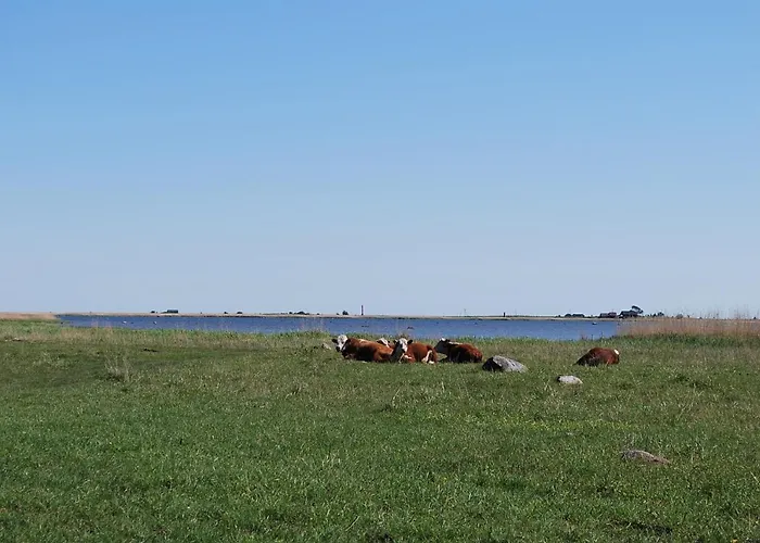 Antsu Talu Farm stay *